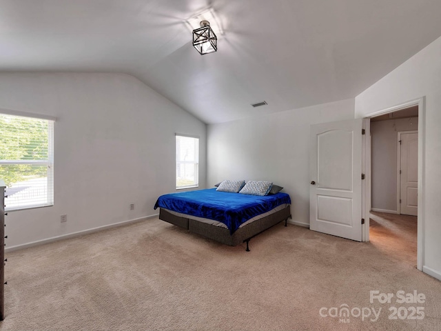 6541 Hasley Woods Dr, Huntersville, NC 28078 - carpeted bedroom with visible vents, baseboards, lofted ceiling, and multiple windows
