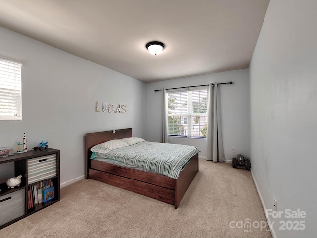 6541 Hasley Woods Dr, Huntersville, NC 28078 - bedroom featuring carpet floors and baseboards