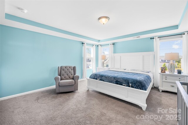 133 W Neel Ranch Rd, Mooresville, NC 28115 - photo 18
