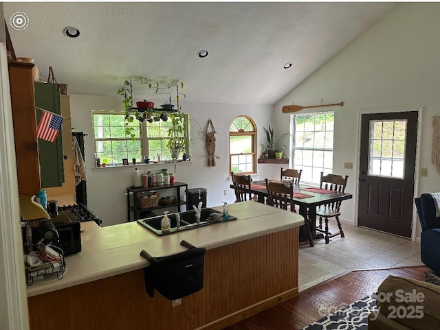 671 High Valley Rd, Bryson City, NC 28713 - kitchen featuring light countertops, vaulted ceiling, recessed lighting, and light wood-style flooring