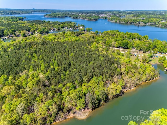 4095 Kingfisher Dr, York, SC 29745 - bird's eye view with a view of trees and a water view