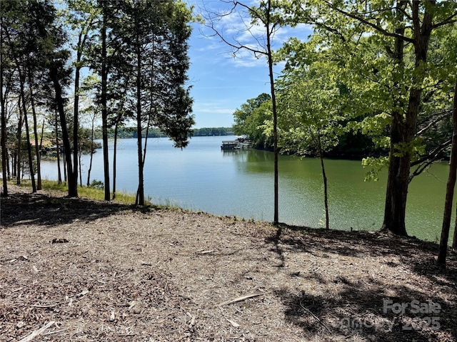 4095 Kingfisher Dr, York, SC 29745 - view of water feature