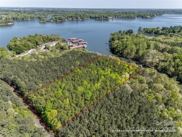 4095 Kingfisher Dr, York, SC 29745 - aerial view with a water view and a view of trees
