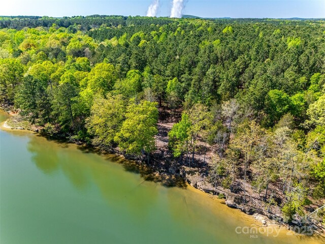 4095 Kingfisher Dr, York, SC 29745 - bird's eye view featuring a view of trees