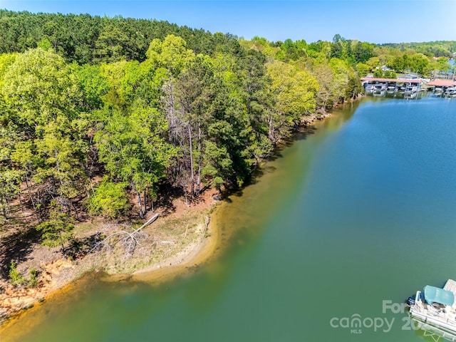 4095 Kingfisher Dr, York, SC 29745 - birds eye view of property featuring a water view and a wooded view