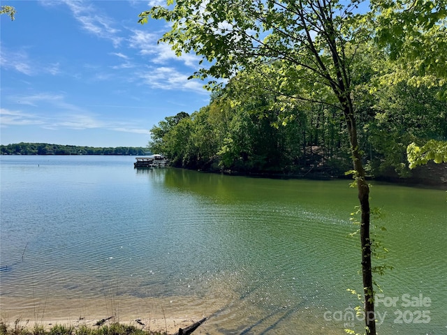 4095 Kingfisher Dr, York, SC 29745 - property view of water