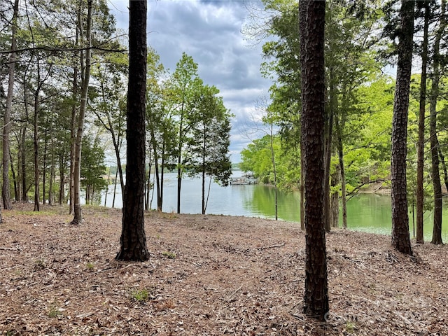 4095 Kingfisher Dr, York, SC 29745 - view of water feature
