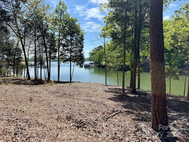 4095 Kingfisher Dr, York, SC 29745 - water view