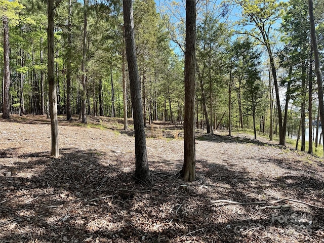 4095 Kingfisher Dr, York, SC 29745 - view of local wilderness with a view of trees
