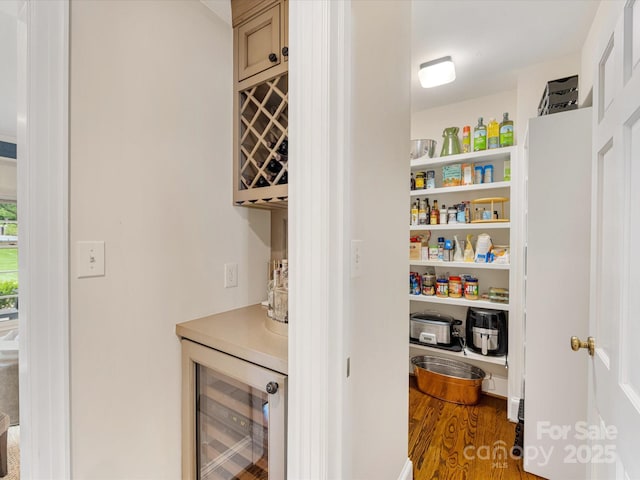 pantry with wine cooler