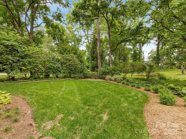 view of green lawn