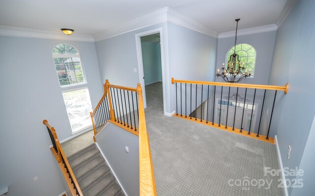 15406 Pepperwood Ct, Huntersville, NC 28078 - photo 19