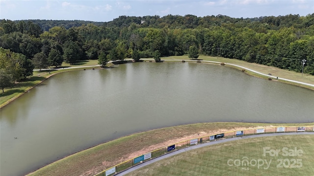 31470 Royal Tern Ln, Indian Land, SC 29707 - photo 44