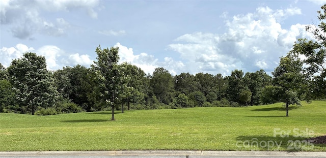 31470 Royal Tern Ln, Indian Land, SC 29707 - photo 7