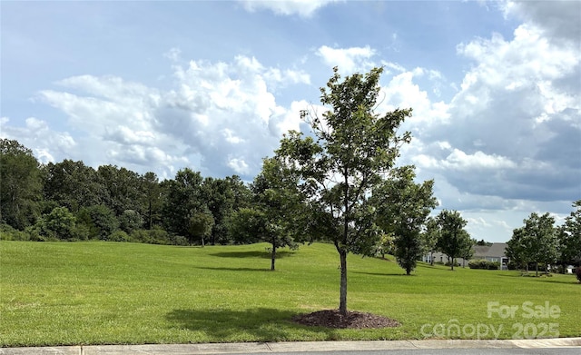 31470 Royal Tern Ln, Indian Land, SC 29707 - photo 8