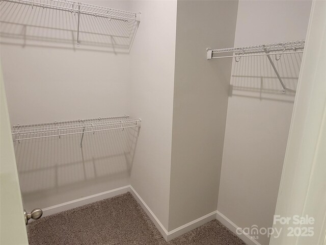 5031 Burnwald Ct, Fort Mill, SC 29715 - photo 17
