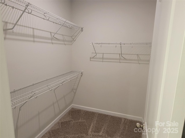 5031 Burnwald Ct, Fort Mill, SC 29715 - photo 18