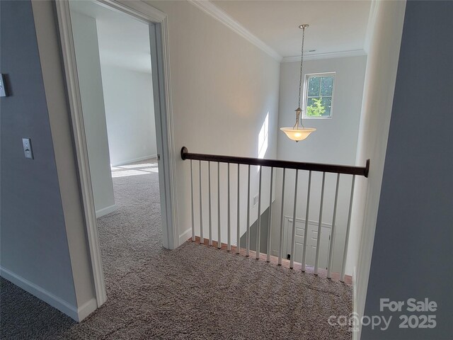 5031 Burnwald Ct, Fort Mill, SC 29715 - photo 20