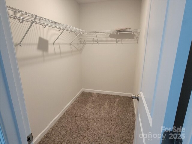 5031 Burnwald Ct, Fort Mill, SC 29715 - photo 28