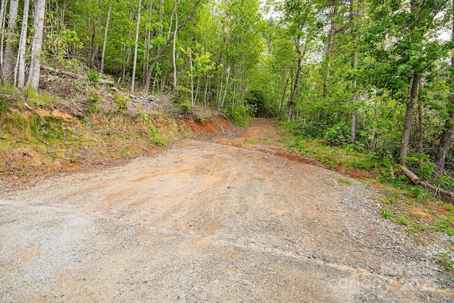 view of road with a wooded view