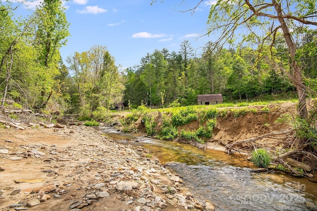 2191 Deep Gap Rd, Flat Rock, NC 28731 - view of yard