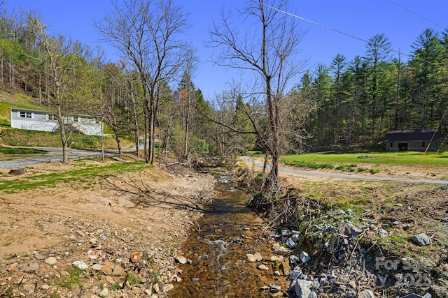 2191 Deep Gap Rd, Flat Rock, NC 28731 - view of yard with a wooded view