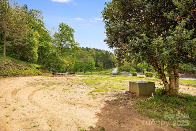 2191 Deep Gap Rd, Flat Rock, NC 28731 - view of road with a wooded view