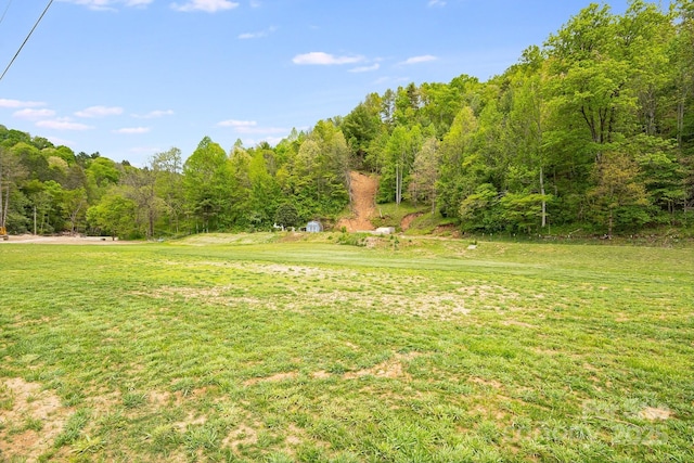 2191 Deep Gap Rd, Flat Rock, NC 28731 - view of grassy yard featuring a forest view