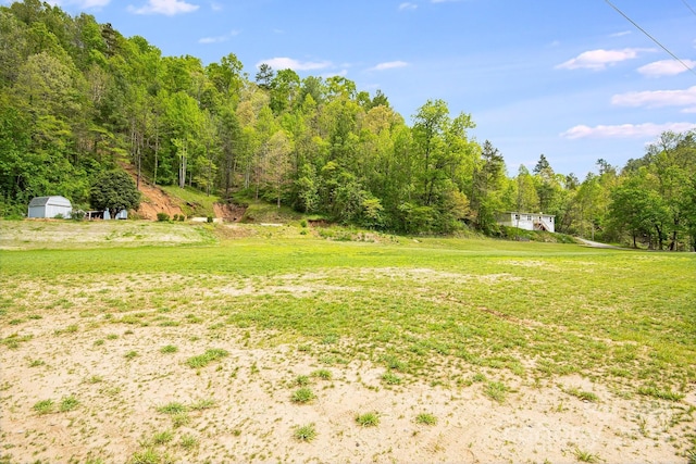 2191 Deep Gap Rd, Flat Rock, NC 28731 - view of grassy yard featuring a wooded view and a storage shed