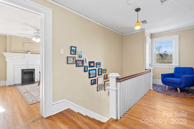 123 Westwood Rd, Asheville, NC 28804 - photo 26