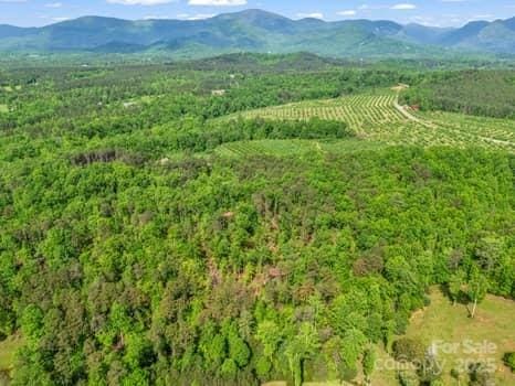 aerial view with a mountain view