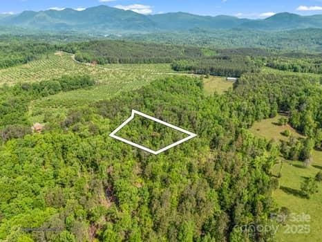 bird's eye view with a view of trees