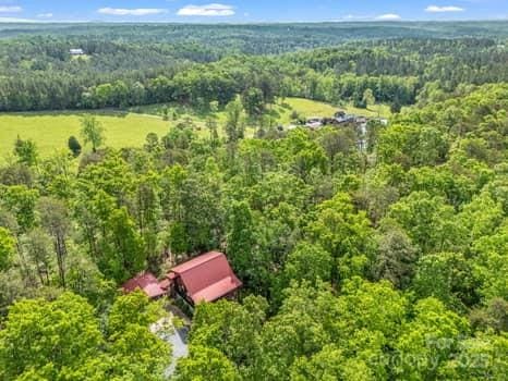 bird's eye view with a forest view