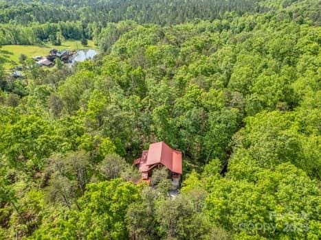 bird's eye view with a view of trees