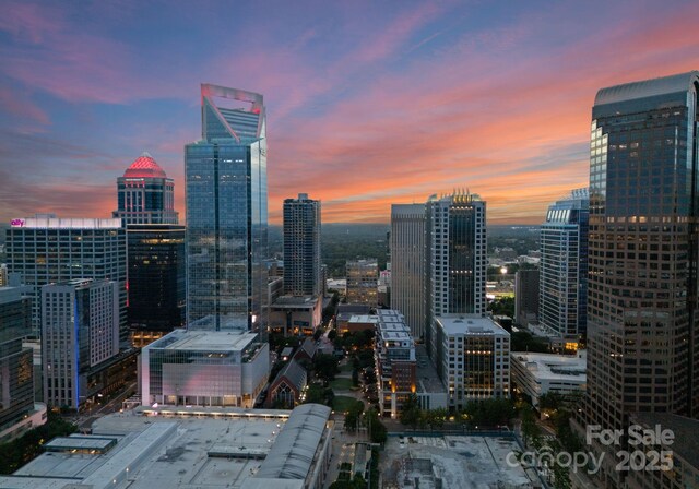 435 S Tryon St Unit 601, Charlotte, NC 28202 - view of city