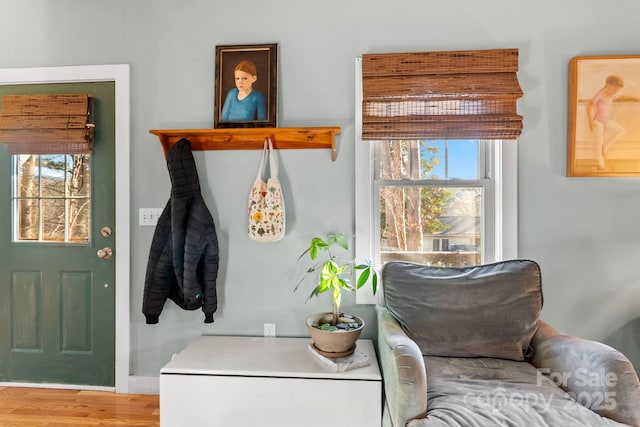 102 Altamahaw Ave, Black Mountain, NC 28711 - living area with healthy amount of natural light, wood finished floors, and baseboards