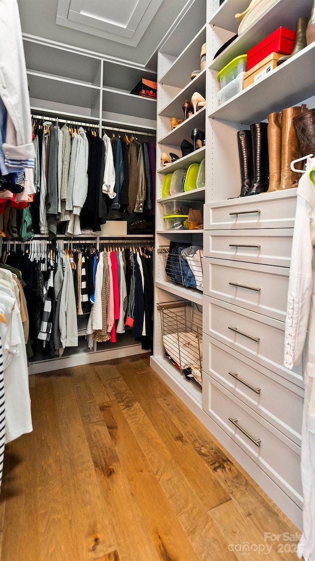 walk in closet featuring wood finished floors