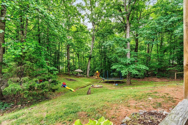 3690 Birchwood Ln, Denver, NC 28037 - view of green lawn with a trampoline