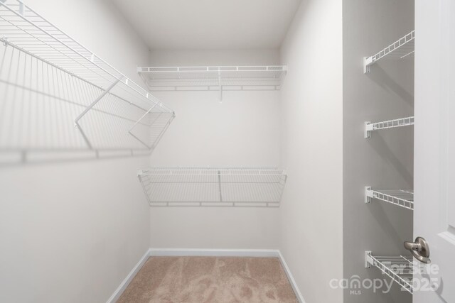 2012 Slippery Rock Ln, Monroe, NC 28112 - spacious closet with carpet