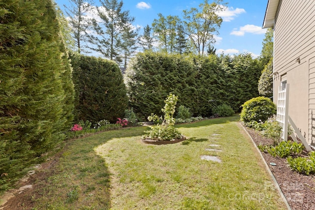 216 Cold Stream Way, Hendersonville, NC 28791 - view of yard