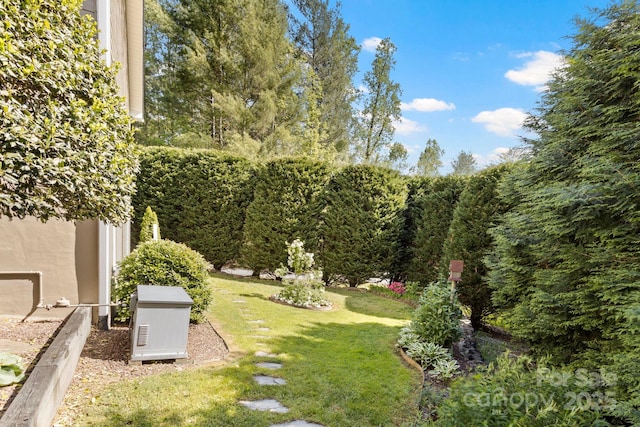 216 Cold Stream Way, Hendersonville, NC 28791 - view of yard