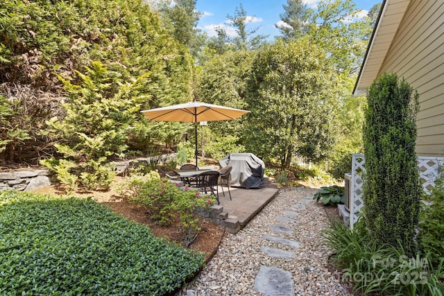 216 Cold Stream Way, Hendersonville, NC 28791 - view of yard with a patio area