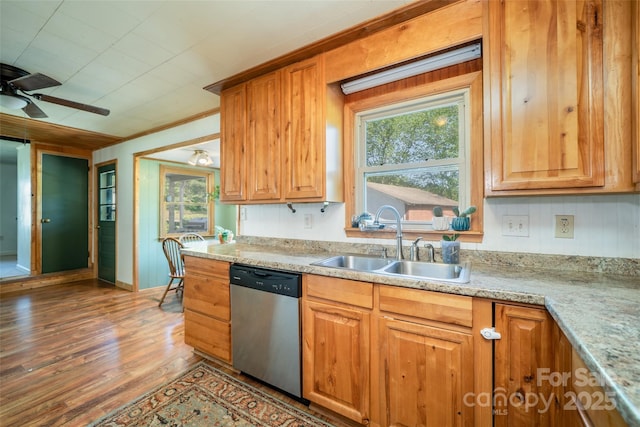 kitchen featuring stainless steel dishwasher, a sink, wood finished floors, ceiling fan, and plenty of natural light