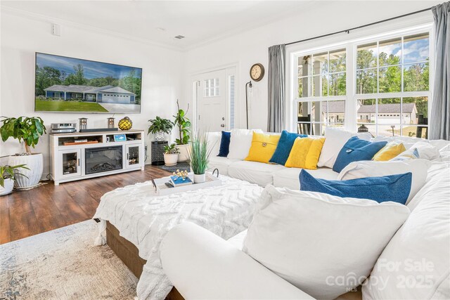 living room featuring crown molding, wood finished floors, and healthy amount of natural light