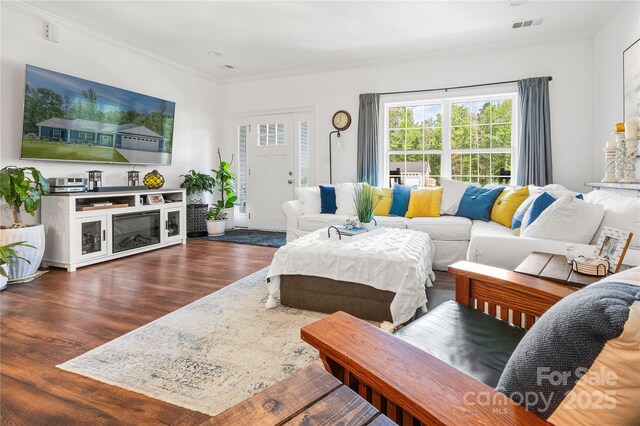 living room featuring crown molding and dark wood-type flooring