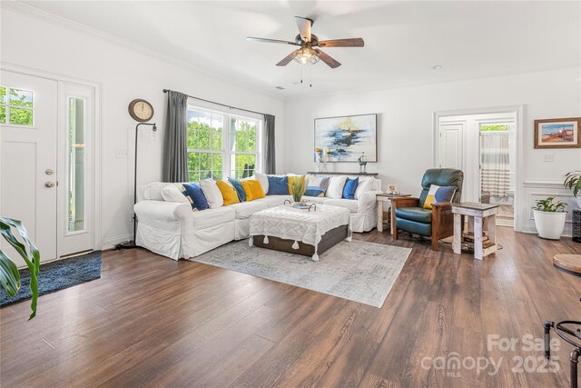 living room featuring ceiling fan, dark wood-style floors, and crown molding