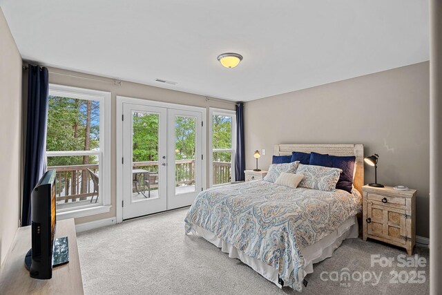112 Nautilus Ct, Troutman, NC 28166 - bedroom with carpet, multiple windows, and access to exterior