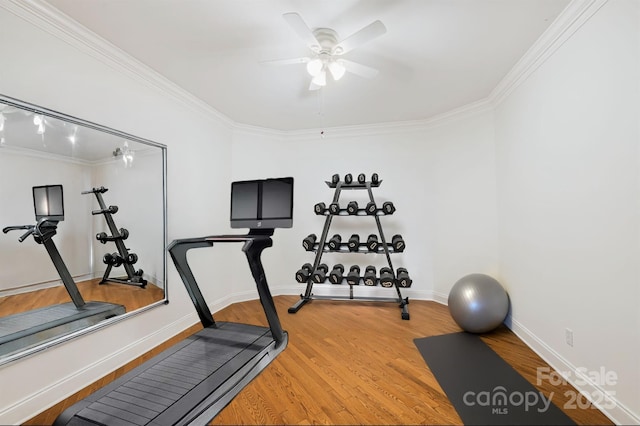 14 Larue Ct, Biltmore Lake, NC 28715 - exercise room with ceiling fan, ornamental molding, light wood-style floors, and baseboards