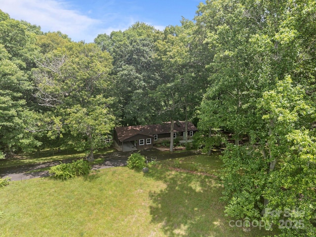 1128 Forest St, Mars Hill, NC 28754 - view of grassy yard with a view of trees