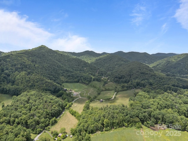 1128 Forest St, Mars Hill, NC 28754 - view of mountain background with a heavily wooded area